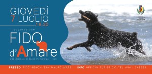 fido-beach