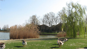 parco del gelso igea marina